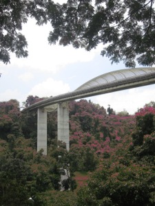 Take the 9km trail through jungle, gardens & skywalks over the Southern Ridges, culminating at Henderson Waves, Mount Faber Park (Singapore's highest pedestrian bridge.) 