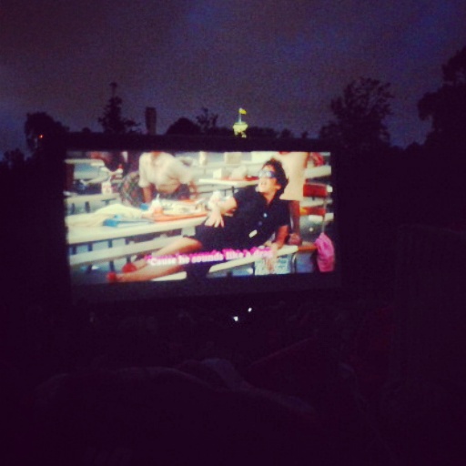 A summer evening sing-a-long in Melbourne's Botanical Garden with 70's classic Grease. Moonlight Cinema run's Dec - March. My tips are to bring a blanket & spring for a beanbag.  